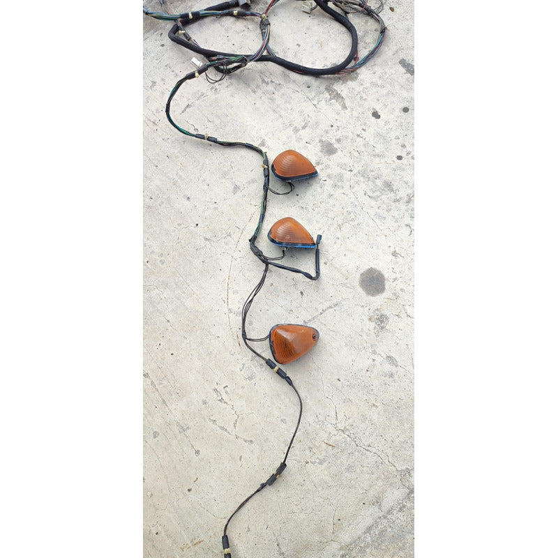 Arnes Conector Luz Cepelin Cf600 Citystar International