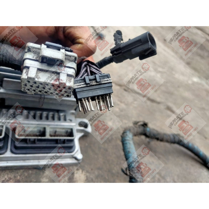 Arnes Motor Navistar Maxxforce International 4300 Detalle