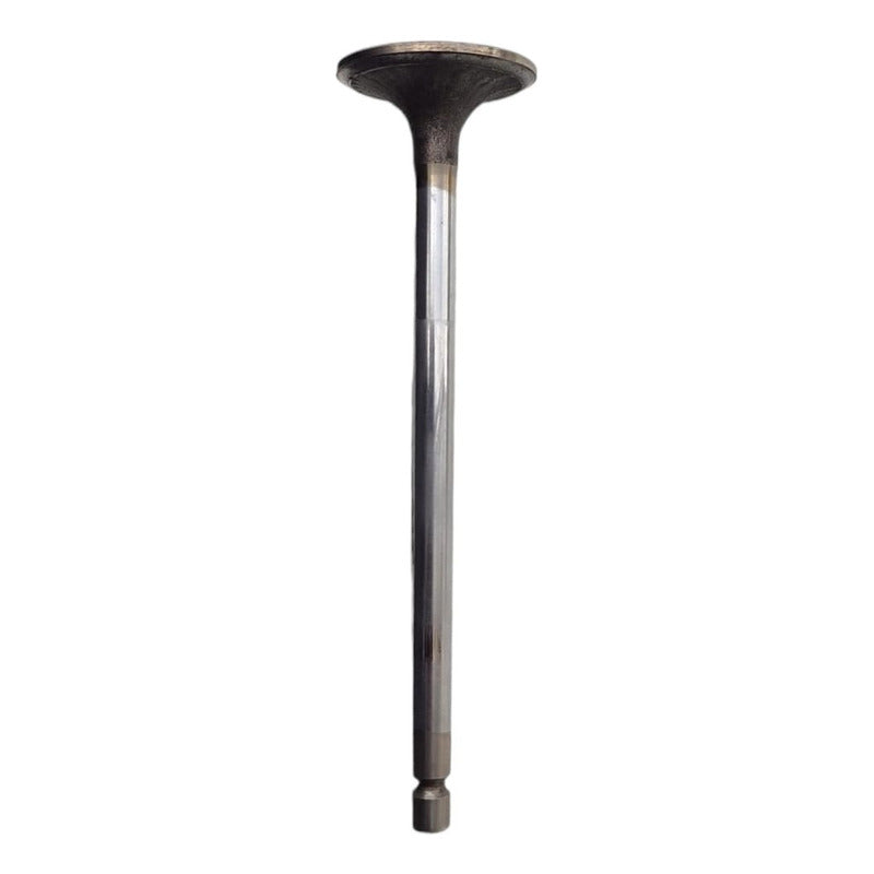 Válvula Admisión Cabeza Motor Paccar Px6 Cummins Isb 6.7l