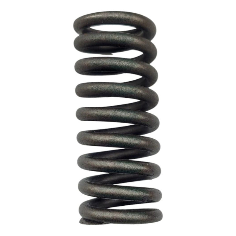 2 Resortes Valvula Cabeza Admision Motor Caterpillar 3126