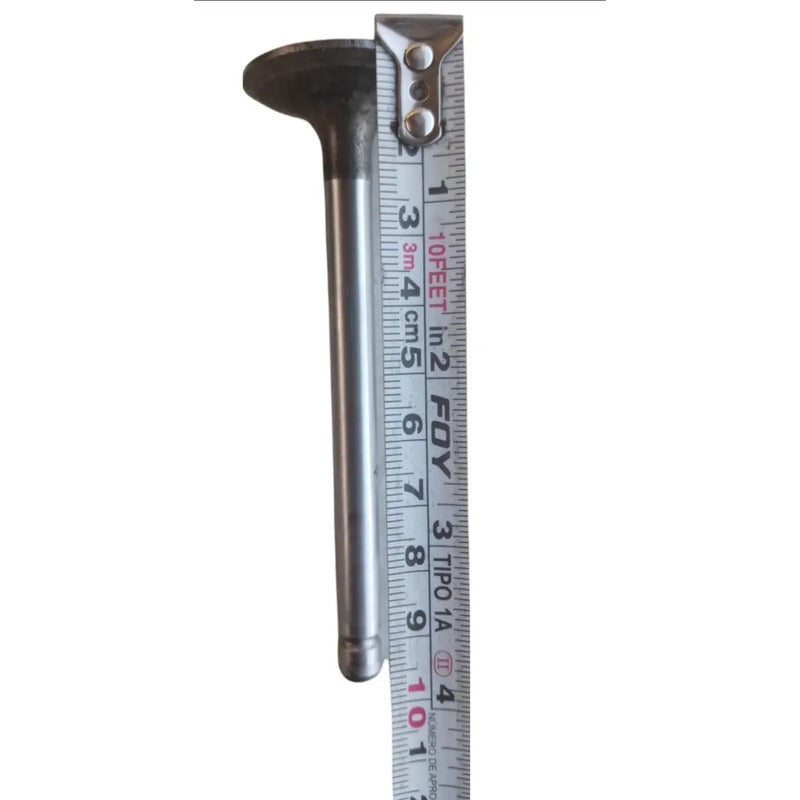 Válvula Cabeza Motor Kubota V2203 Grande