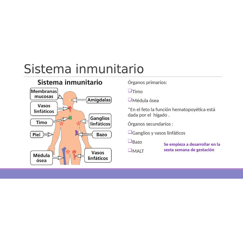 Potenciometro Pedal Acelerador Isuzu Elf 200 300 Motor 4jj1