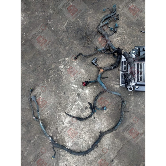 Arnes Motor Navistar Maxxforce International 4300 Detalle