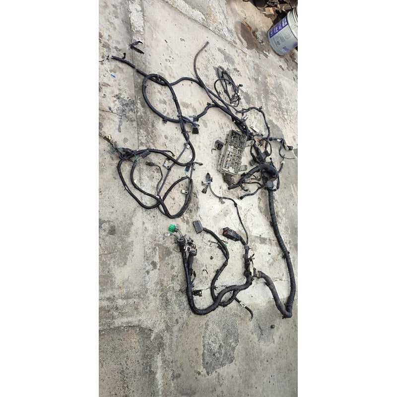 Arnes Conector Modulo Caja Fusibles Isuzu Elf 500
