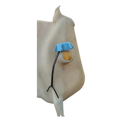 Depósito Agua Limpiadores Limpiaparabrisas Freightliner M2