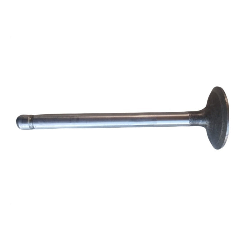 Válvula Cabeza Motor Kubota V2203 Grande