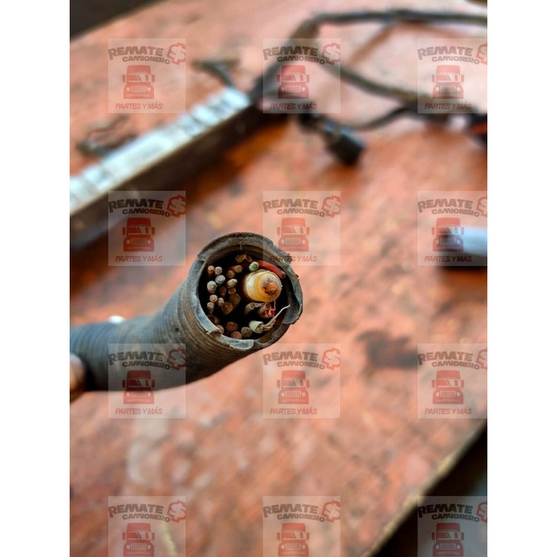 Arnes Cableado Motor Mercedes Benz Om 906