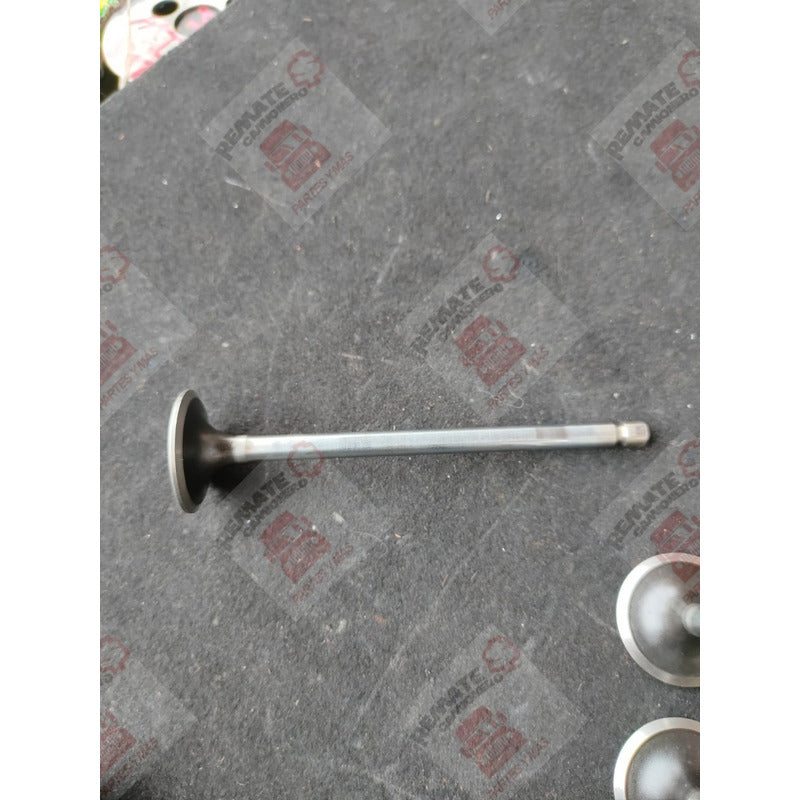 Válvula Admisión Cabeza Motor Cummins Isb 5.9l