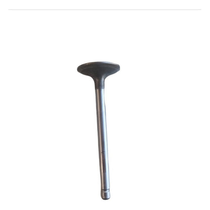 Válvula Cabeza Motor Kubota V2203 Grande