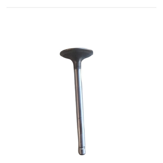 Válvula Cabeza Motor Kubota V2203 Grande