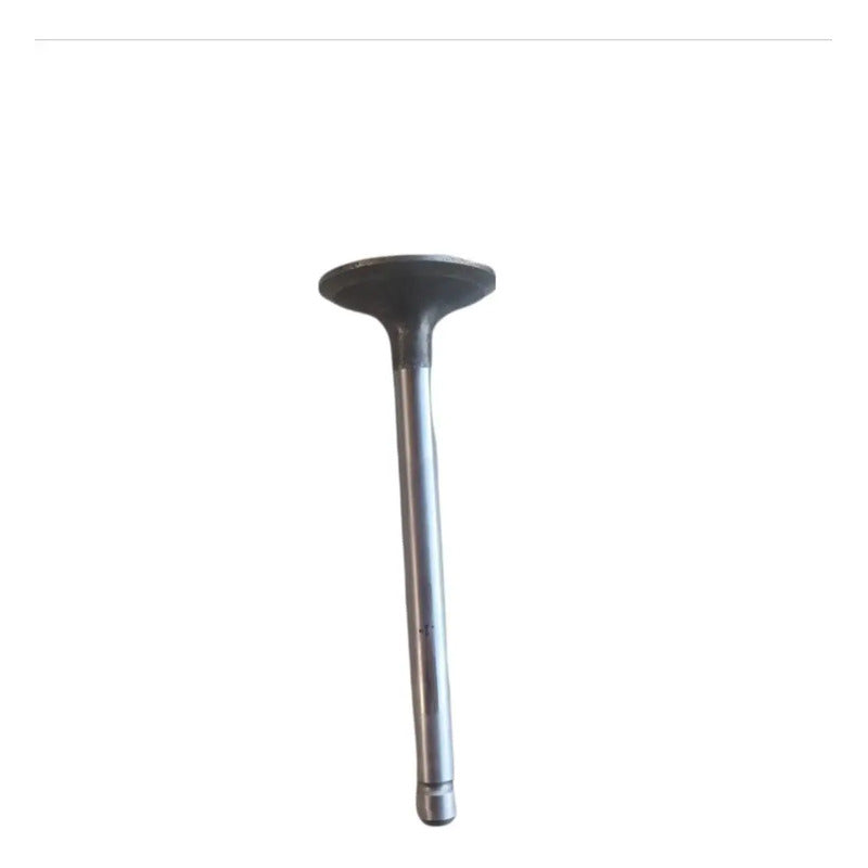 Válvula Cabeza Motor Kubota V2203 Grande