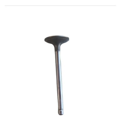 Válvula Cabeza Motor Kubota V2203 Grande