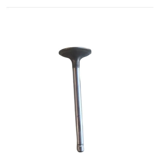 Válvula Cabeza Motor Kubota V2203 Grande