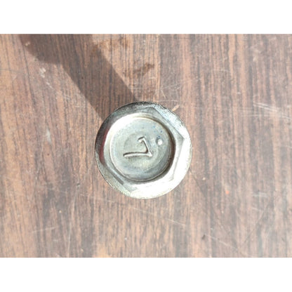 2 Tornillos Coraza Motor Hino 300 816 716