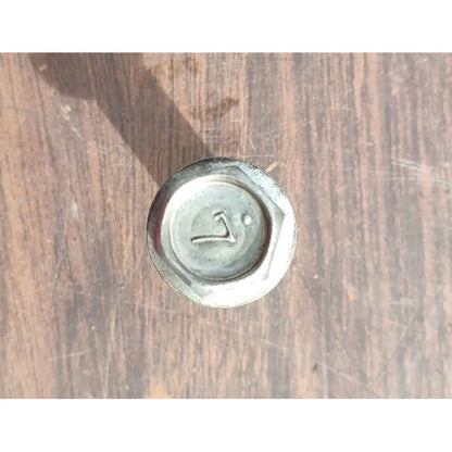 2 Tornillos Coraza Motor Hino 300 816 716