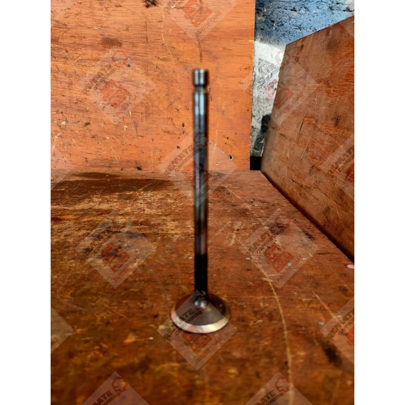 Válvula Escape Cabeza Motor Cummins Isb 5.9l