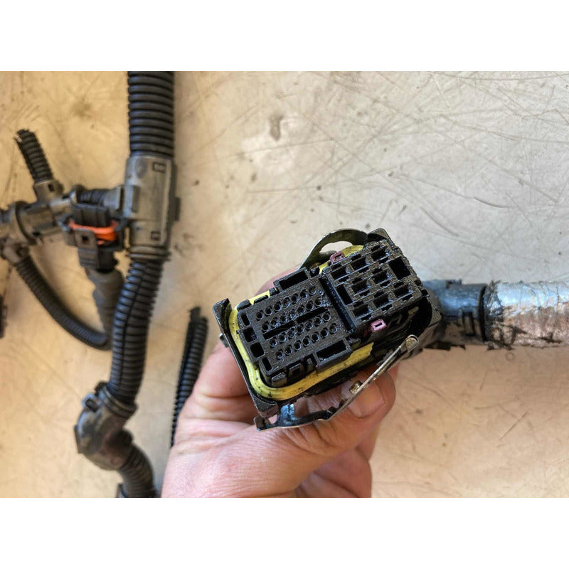Arnes De Sensores Motor Mwm 4.12tce