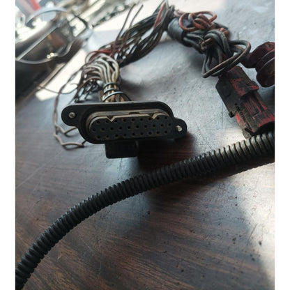 Arnes Conector Motor Cummins Ism