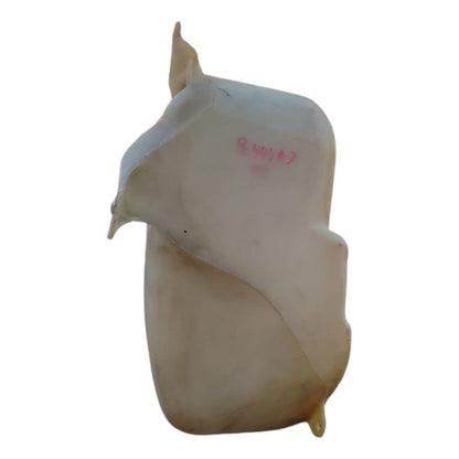 Depósito Agua Limpiadores Limpiaparabrisas Freightliner M2