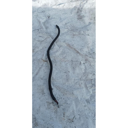 Cable Automotriz Corriente Tierra 1 Pulgada 80cms