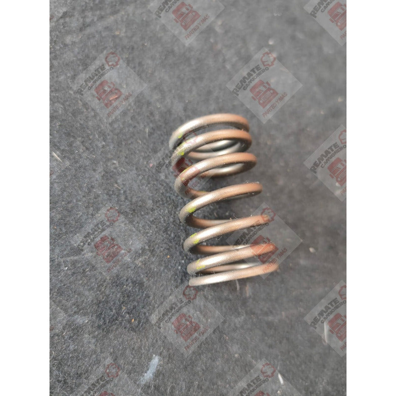 Resorte Válvula Cabeza Motor Cummins Isb 5.9l