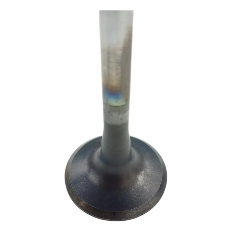 Válvula De Escape Motor Isuzu 4hk1 Elf
