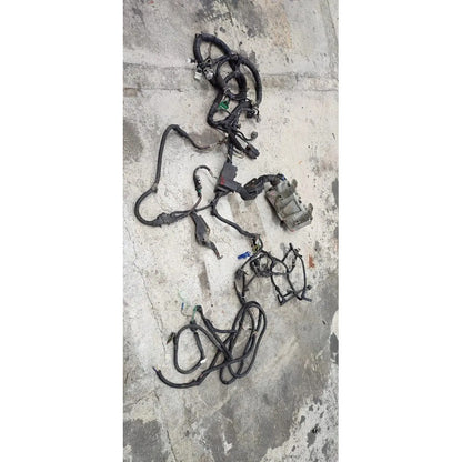 Arnes Conector Modulo Caja Fusibles Isuzu Elf 300 200