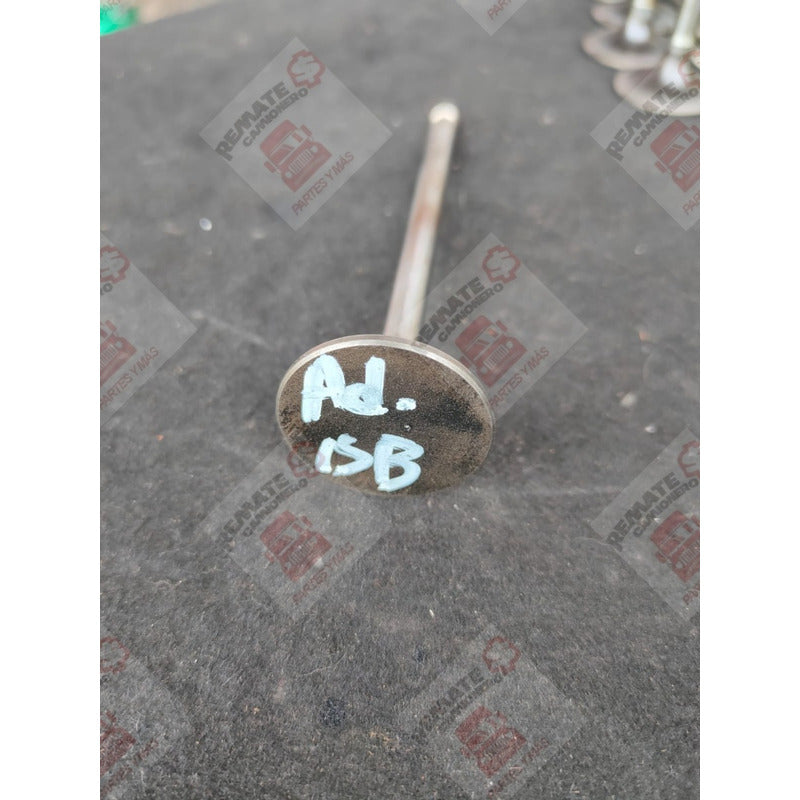 Válvula Admisión Cabeza Motor Cummins Isb 5.9l