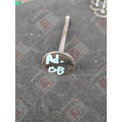 Válvula Admisión Cabeza Motor Cummins Isb 5.9l