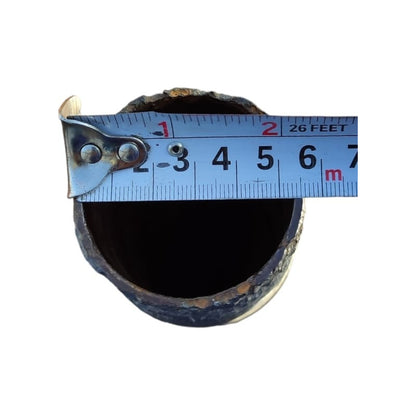 Caja Termostato Motor Scania K310 Irizar