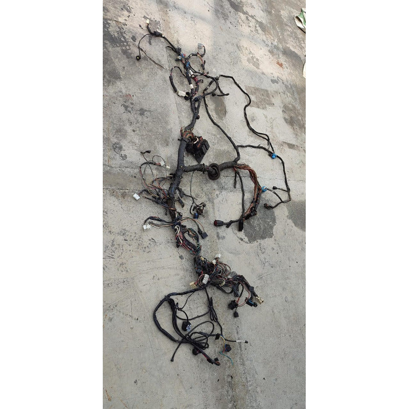 Arnes Tablero Instrumentos Citystar Cf600 International