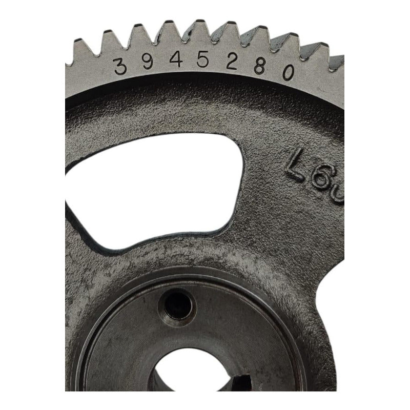 Engrane Bomba De Diésel Motor Cummins Isb