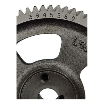 Engrane Bomba De Diésel Motor Cummins Isb