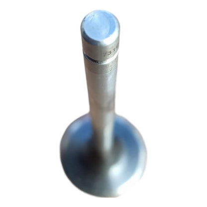 Válvula Escape Cabeza Motor Cf600 Vt275 International