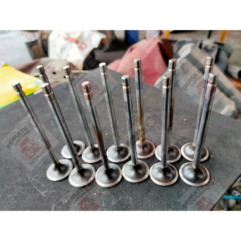 Válvula Admisión Cabeza Motor Cummins Isb 5.9l