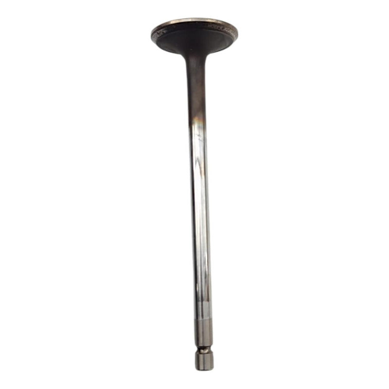 Válvula Escape Cabeza Motor Paccar Px6 Cummins Isb 6.7l