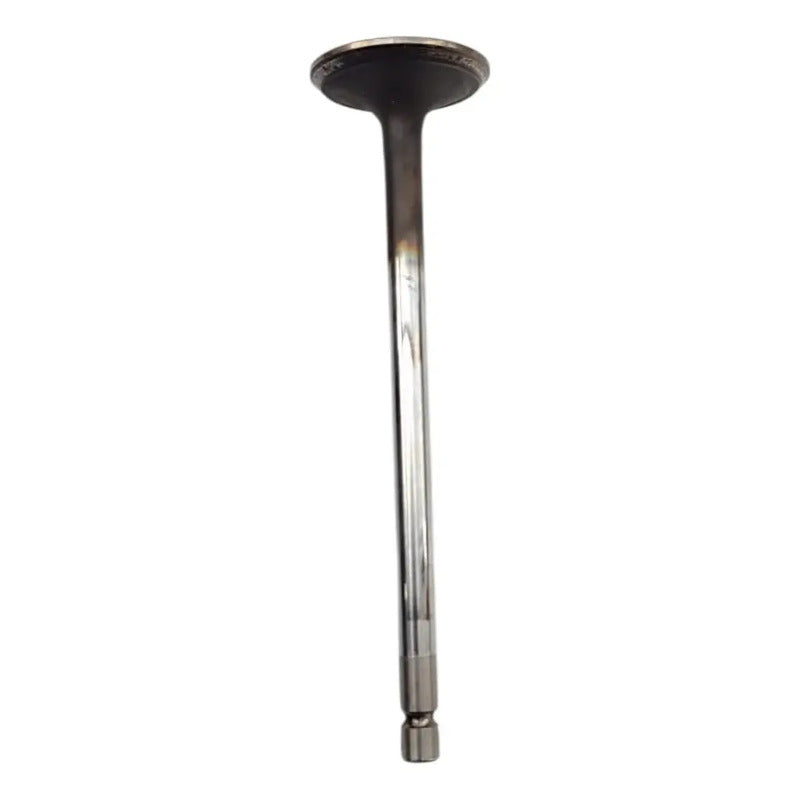 Válvula Escape Cabeza Motor Paccar Px6 Cummins Isb 6.7l