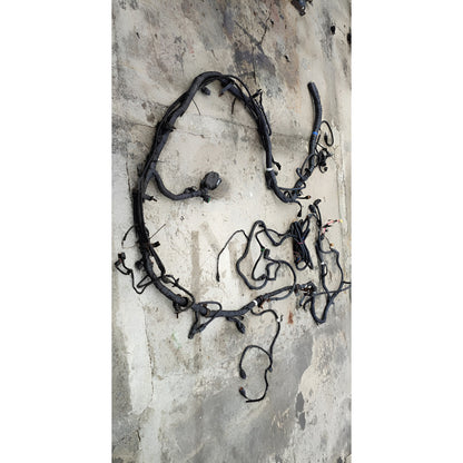 Arnes Tablero Cabina Hyundai Hd120 Detalle Negro