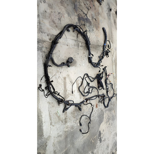 Arnes Tablero Cabina Hyundai Hd120 Detalle Negro