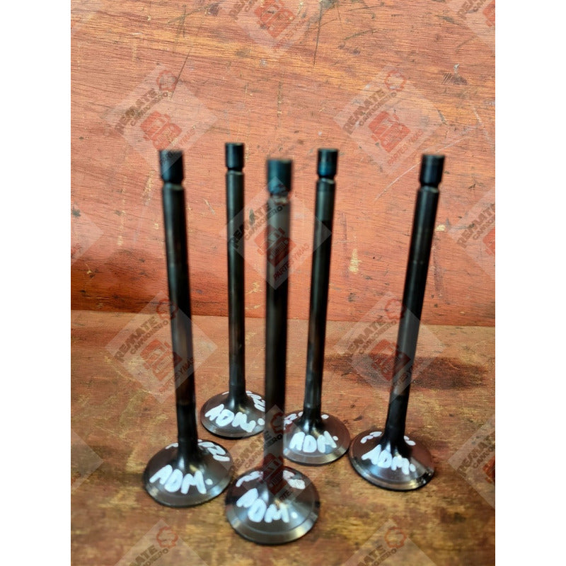 Válvula De Admisión  Cabeza Motor Isuzu 4h1 Elf