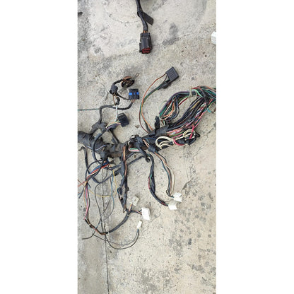 Arnes Tablero Instrumentos Citystar Cf600 International