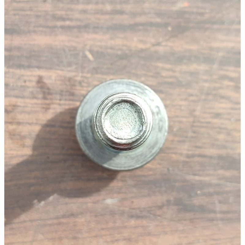 2 Tornillos Coraza Motor Hino 300 816 716