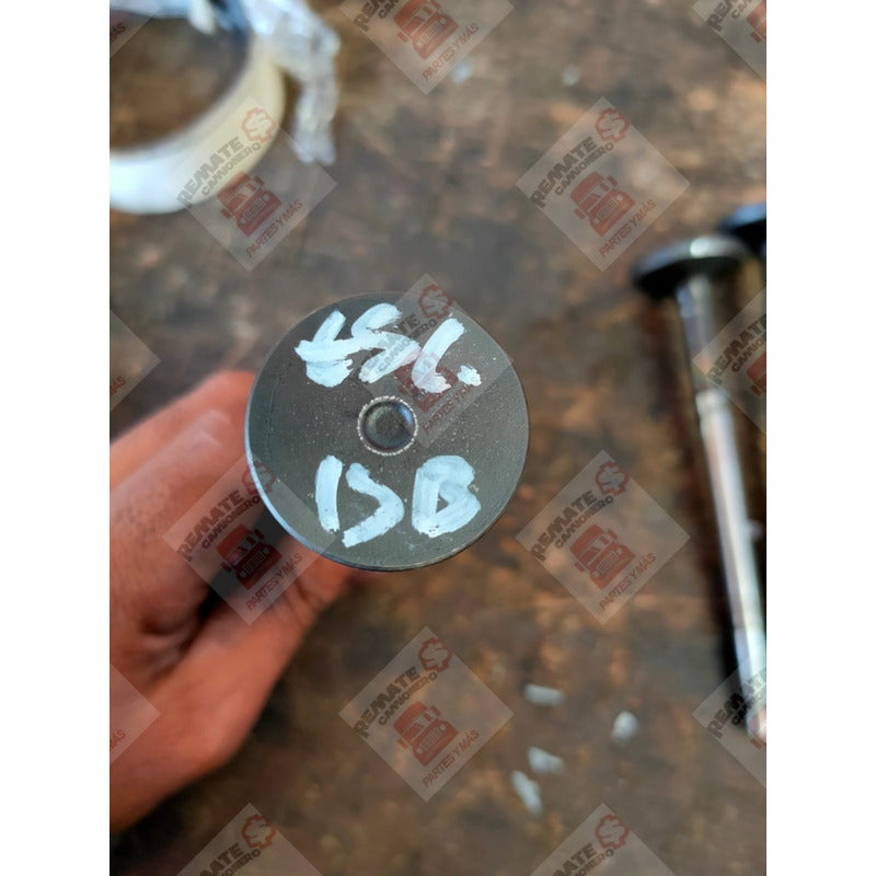 Válvula Escape Cabeza Motor Cummins Isb 5.9l