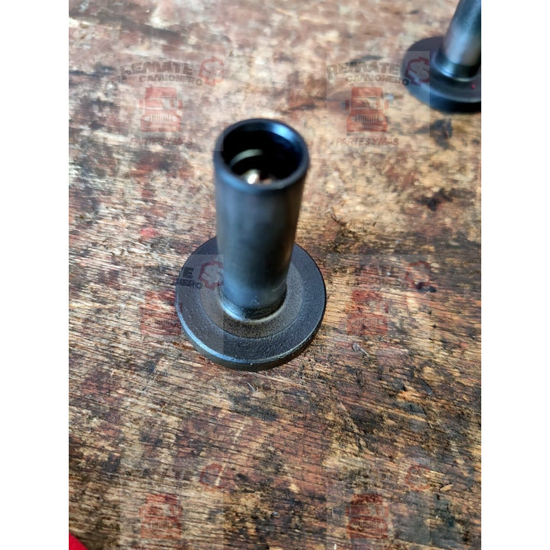 Buso Buzo Botador Motor Cummins Isb 6.7l Paccar Px-6
