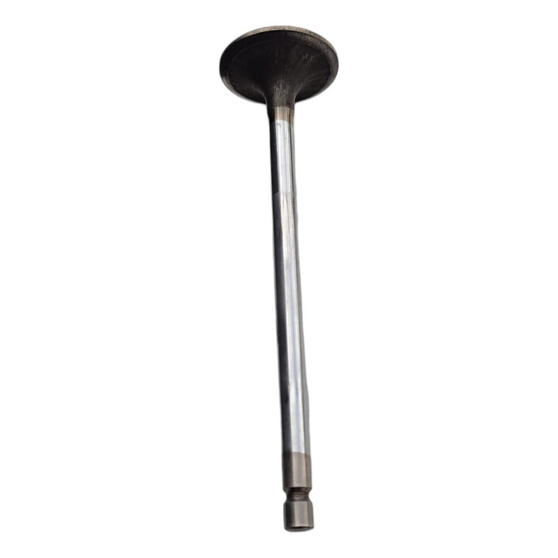 Válvula Admisión Cabeza Motor Paccar Px6 Cummins Isb 6.7l