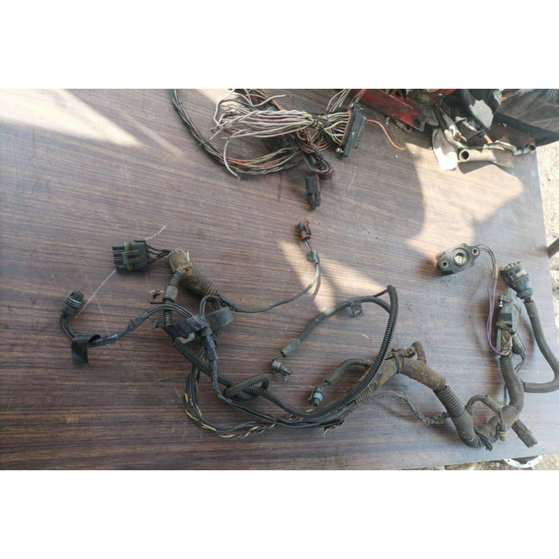 Arnes Conector Motor Cummins Ism