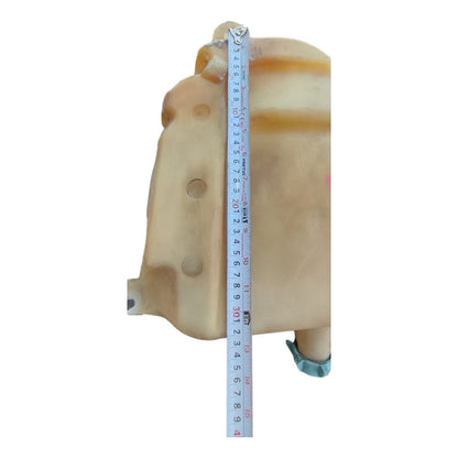 Depósito Agua Limpiadores Limpiaparabrisas Freightliner M2